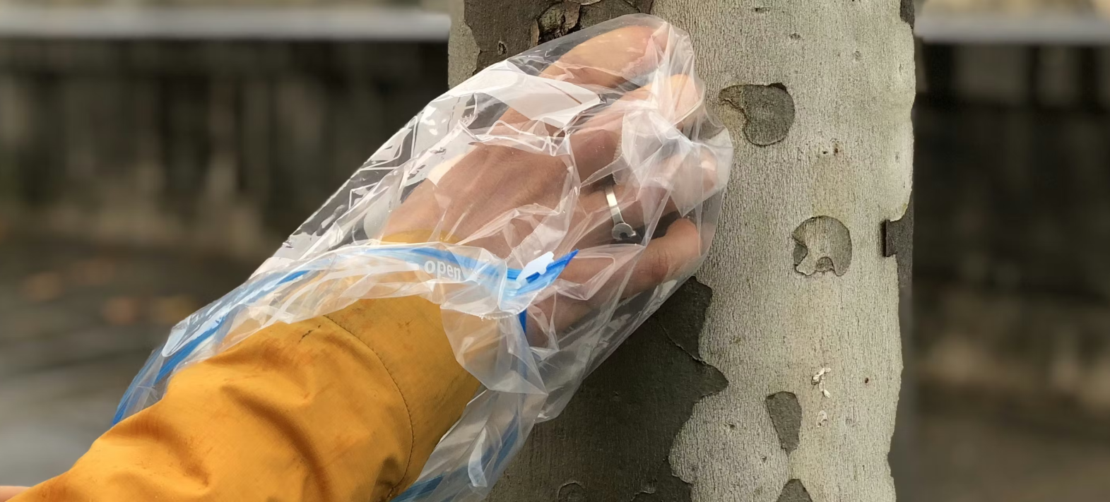 Mesurer l’invisible : ce que l’écorce des arbres nous apprend de la pollution de l’air à Paris