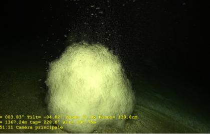 Discovery of CO₂ hydrates off the coast of Mayotte: a unique site for studying carbon storage in the ocean