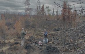 Feux de forêt : les nanoparticules révèlent les conditions de combustion