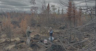Wildfires: nanoparticles reveal combustion conditions