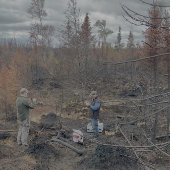 Feux de forêt : les nanoparticules révèlent les conditions de combustion
