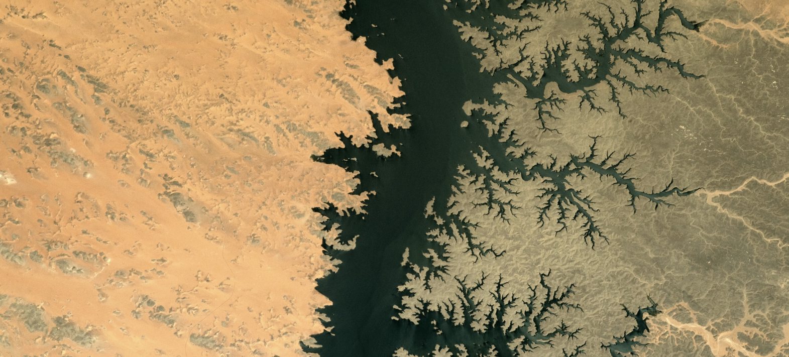 La recherche universitaire : un levier essentiel pour relever le défi de l’eau en Afrique… et ailleurs !