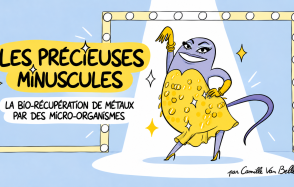 What if the next stars of recycling were… bacteria?