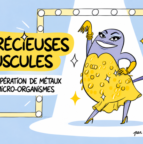 Et si les nouvelles stars du recyclage étaient… des bactéries ?