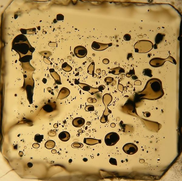 Olivine hosted melt inclusion (Yasur Tanna Vanuatu)